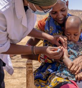 Regional Immunization Technical Advisory Group (RITAG) and Immunization Stakeholders' Meeting, 11 - 14 June 2024