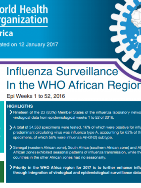 Influenza Surveillance In the WHO African Region - Epi Weeks 1 to 52, 2016