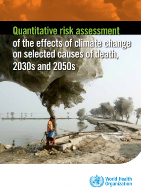 Quantitative risk assessment of the effects of climate change on selected causes of death, 2030s and 2050s