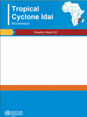 Cyclone Idai Mozambique Situation Report