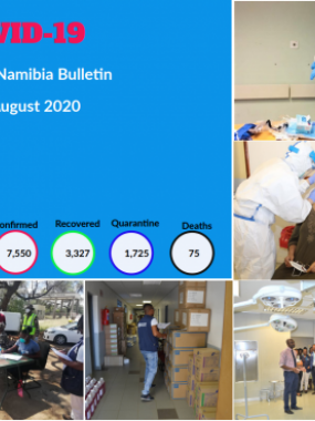 WHO Namibia COVID-19 May to August 2020 Bulletin 