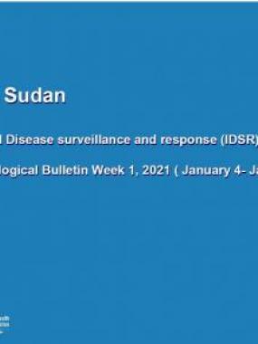 South Sudan weekly disease surveillance bulletin 2021