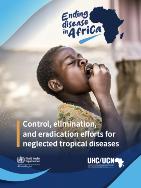 Ending disease in Africa: control, elimination, and eradication efforts for neglected tropical diseases, scoping review of the literature in the WHO African Region since 1990