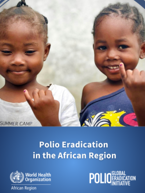 Highlights of the polio eradication efforts in the African Region (January - October 2024).