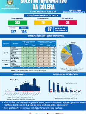 Boletim de Cólera 2024 Nº 8