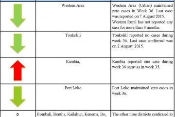 Presentation of cases by district