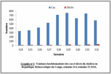 Légère tendance à la baisse notée dans les provinces en épidémie mais la létalité reste élevée. 583 cas incluant 34 décès (létalité : 5,9 %) ont été rapportés dans le pays dans la semaine épidémiologique 32 (S32) contre 748 cas et 32 décès dans la S31. La quasi-totalité des décès de la S32 (32) est rapportée dans les provinces non endémiques. Deux nouvelles aires sanitaires ont été touchées à la semaine 34 dans la zone de santé de Bili dans le Nord Ubangui. De même, trois zones de santé ont rapporté des cas