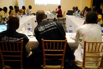 Participants presenting their findings and recommendations to the group in a plenary session.