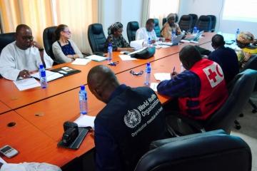 WHO and partner organisations meet in Conakry to reinvigorate the health cluster.