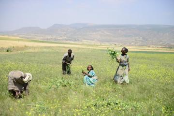 Scaling up investments in health and environment initiatives in Africa