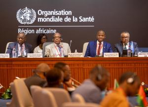 Fourteen African countries, key partners unite to provide critical resources for health in WHO’s first-ever Investment Round  