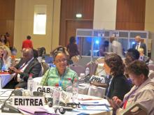 A consultation was held from 13-15 May in Brazzaville