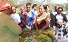 Feiras de Saúde e de Produtos Agrícolas