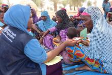 A member of the Mobile health team providing essential health service in a nomadic setting in Yobe state