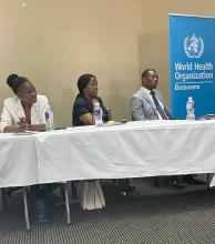 Ministry of Health PS Grace Muzila, WHO Country Representative Dr Josephine Namboze, and the Chief Laboratory Scientist Mpaphi Mbulawa at the validation of the strategic NHL documents 