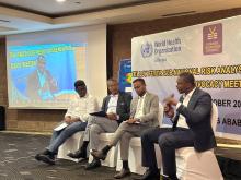 The Yellow Fever Sub-National Risk Analysis Finding Conveys the relative risks of regions in Ethiopia: WHO organizes the dissemination workshop