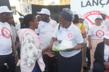 Dr. Josephine delivering mosquito net