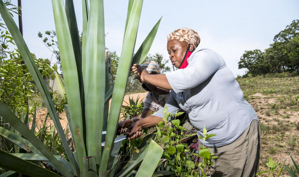 Test and treat: Eswatini cuts back HIV infections