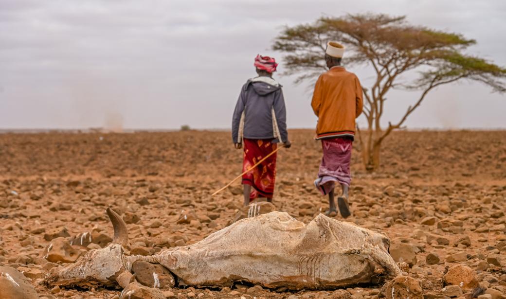 Renforcer la réponse sanitaire pour les populations touchées par la sécheresse au Kenya