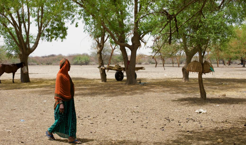 Local-level planning gives Chad’s nomadic children polio protection