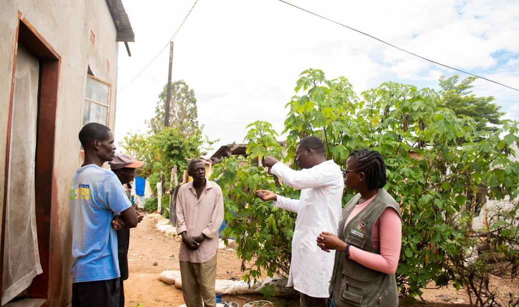 Active case-finding helps to curb Zambia cholera outbreak 