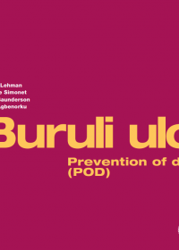 buruli ulcer