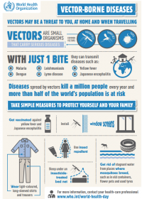 World Health Day 2014: Infographic