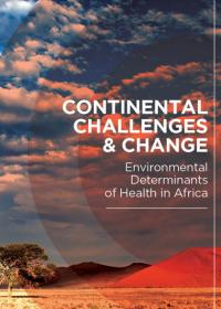 Second synthesis report on the situation analysis and needs assessments for the implementation of the Libreville Declaration on Health and Environment in Africa