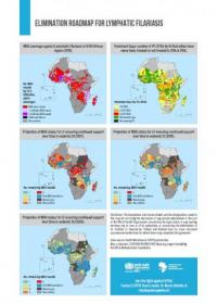 Elimination roadmap for lymphatic filariasis