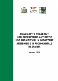 Roadmap to Phase out Non-Therapeutic Antibiotic use and Critically Important Antibiotics in Food animals in Zambia