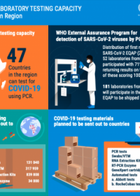 COVID-19 laboratory testing capacity in the African Region