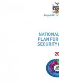 National  Action Plan for Health Security (NAPS)