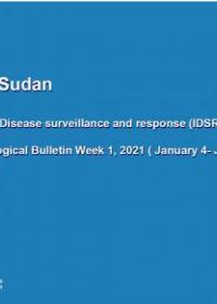 South Sudan weekly disease surveillance bulletin 2021