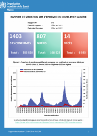 Rapport 673