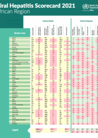 Viral Hepatitis Scorecard 2021: African Region