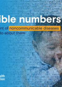  Invisible numbers: the true extent of noncommunicable diseases and what to do about them