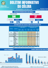 Boletim de Cólera 2024 Nº 10