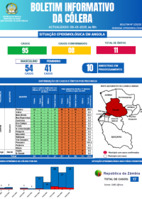 Boletim de Cólera 2024 Nº 2