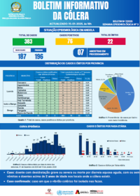 Boletim de Cólera 2024 Nº 8